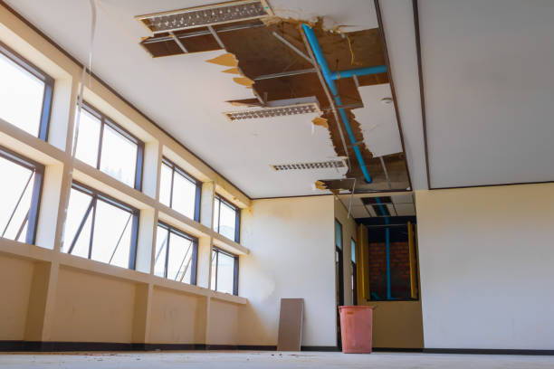 Best 24/7 water damage repair  in Stafford Springs, CT