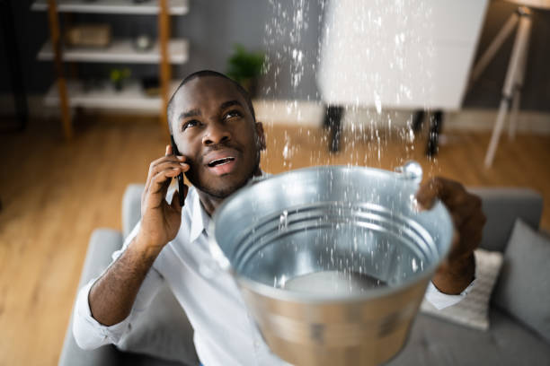 Best Flooded house restoration  in Stafford Springs, CT