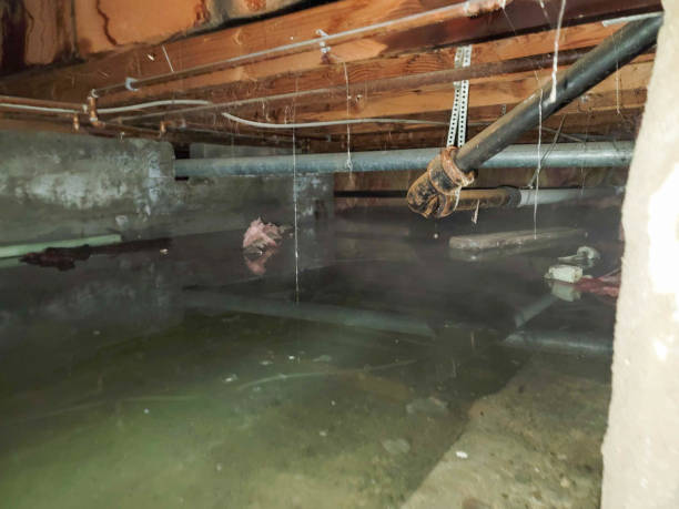 Reliable CT Water damage restoration Solutions