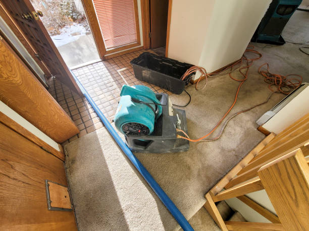 Best Professional water damage repair  in Stafford Springs, CT