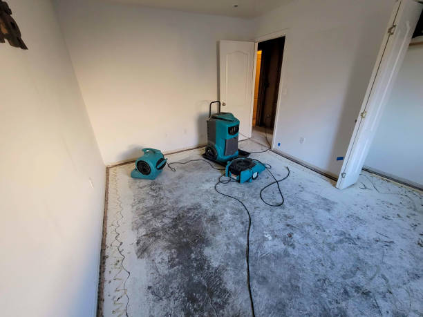 Best Ceiling water damage repair  in Stafford Springs, CT