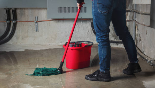 Best Water damage restoration specialists  in Stafford Springs, CT