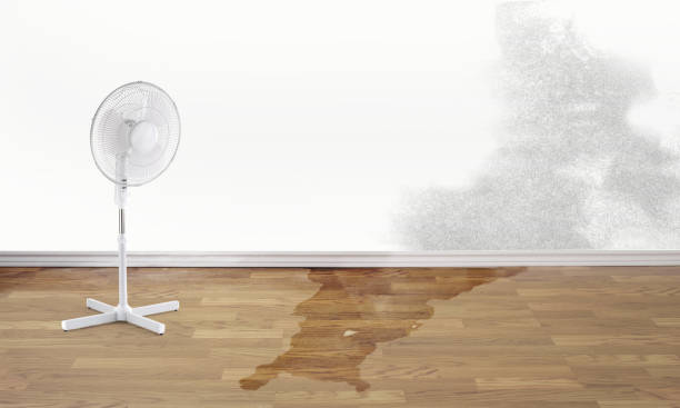 Best Residential water damage restoration  in Stafford Springs, CT