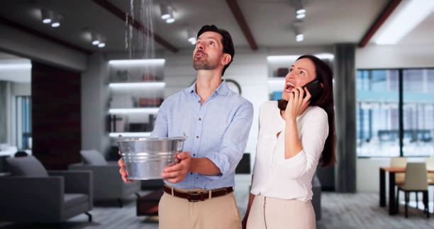 Best Carpet water damage restoration  in Stafford Springs, CT
