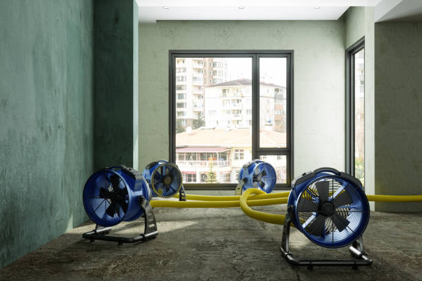 Best Water damage contractors near me  in Stafford Springs, CT